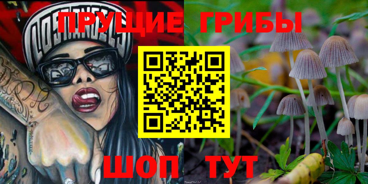 Тихвин  Псилоцибиновые грибы Magic Shrooms  Вход с VPN  Галлюциногенные грибы MAGIC MUSHROOMS 