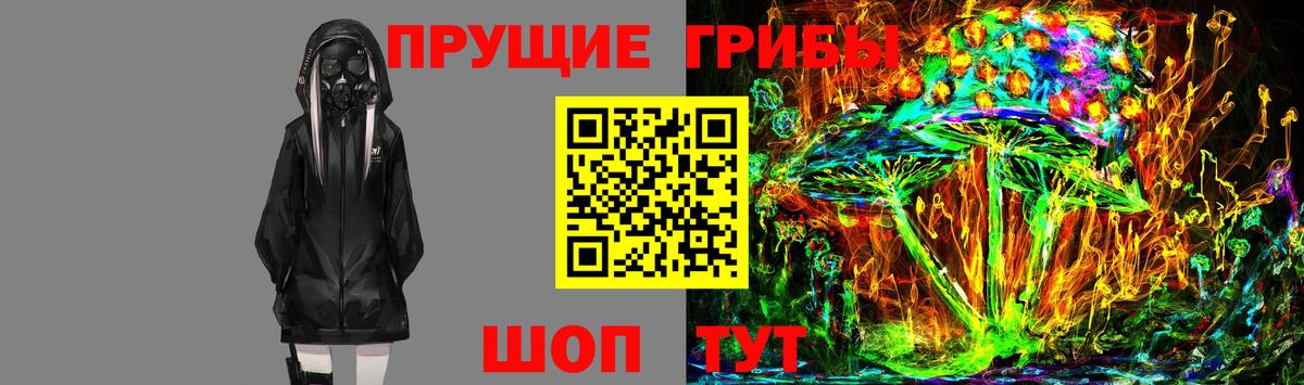Галлюциногенные грибы Magic Shrooms Тихвин